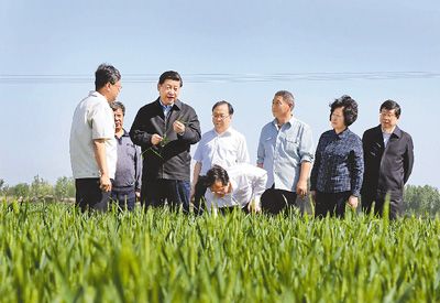 习近平：稳中求进推动经济发展持续努力保障改善民生