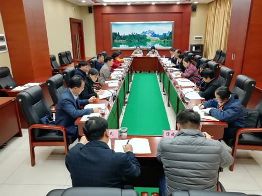 柳州市首次组建市党代表专业小组开展专题调研视察活动