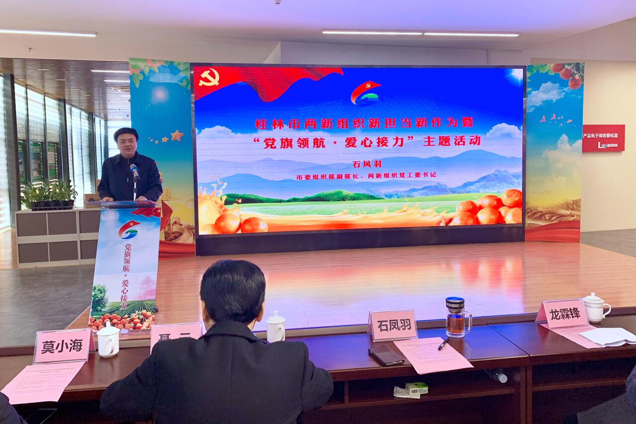 桂林市两新组织开展“党旗领航?爱心接力”活动